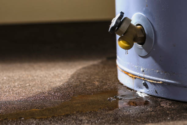 Best Local water damage restoration  in New Middletown, OH