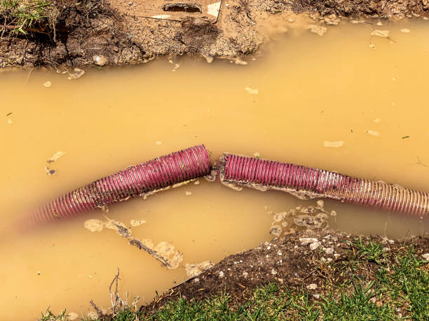 Best 24-hour water damage restoration  in New Middletown, OH