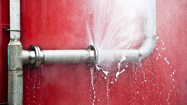 Best Water damage restoration near me  in New Middletown, OH